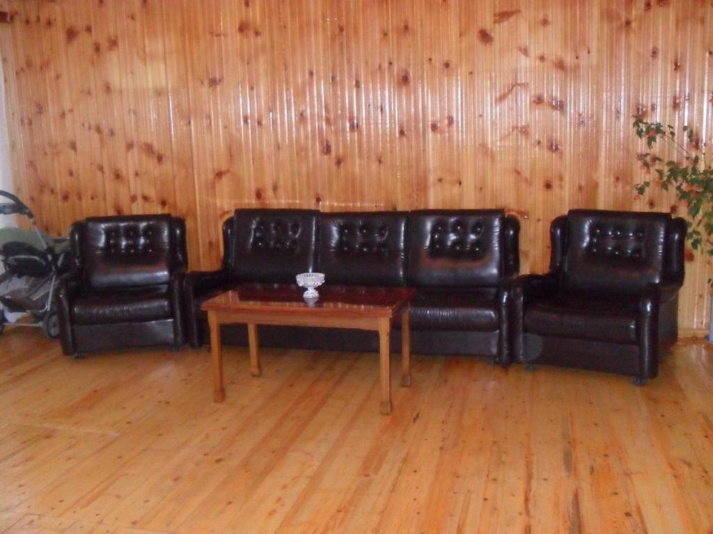 Guest House Vivaushba Bagvdanari Ngoại thất bức ảnh