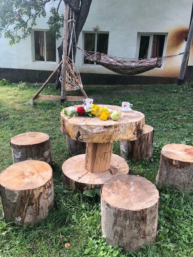 Guest House Vivaushba Bagvdanari Ngoại thất bức ảnh