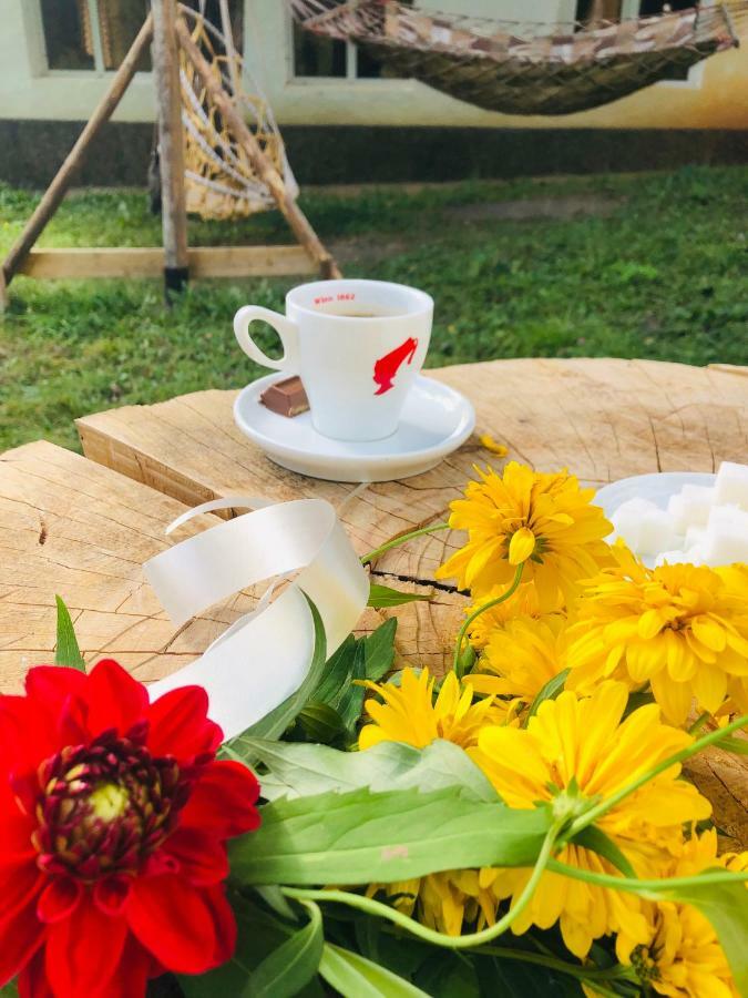 Guest House Vivaushba Bagvdanari Ngoại thất bức ảnh