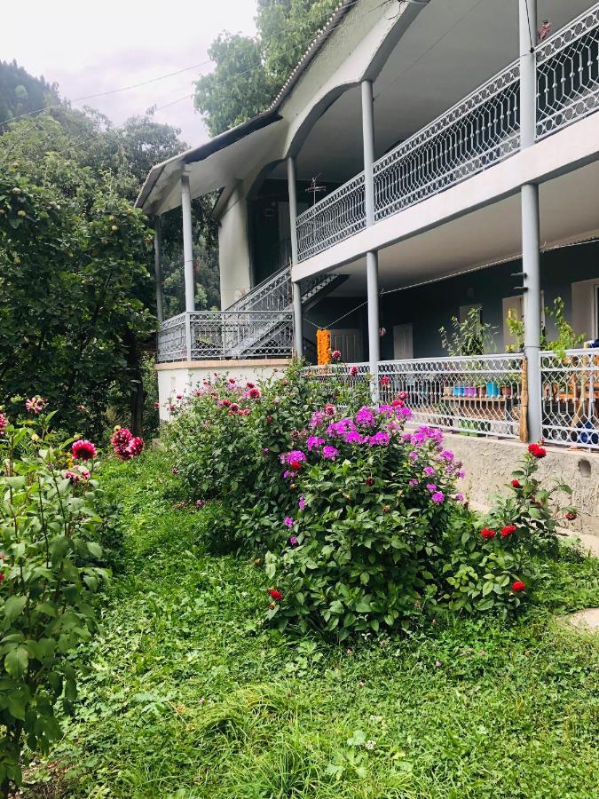 Guest House Vivaushba Bagvdanari Ngoại thất bức ảnh